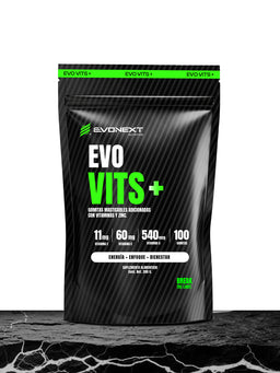 EVO VITS+