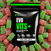 EVO VITS+